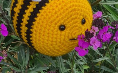 There’s a buzz about the Courthouse