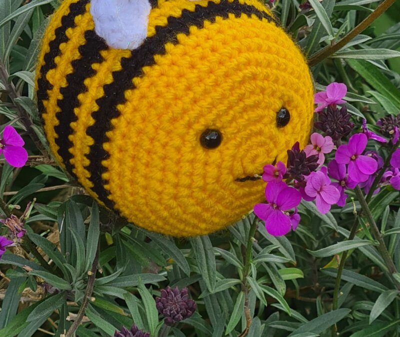 There’s a buzz about the Courthouse