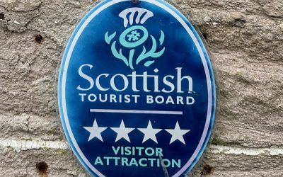 **** 4 Star Rating ****