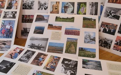 New Season, New Exhibition