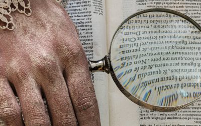 Wanted! Museum Manager / Curator – Applications now closed